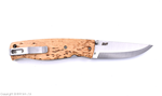 birk_2502_01.png