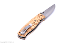 birk_2502_02.png