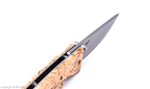 birk_2502_03.png